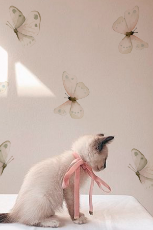 stikers mariposas lalalu