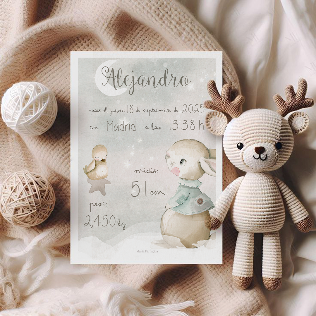 Lámina nacimiento bebé personalizada con todos los detalles de su llegada.