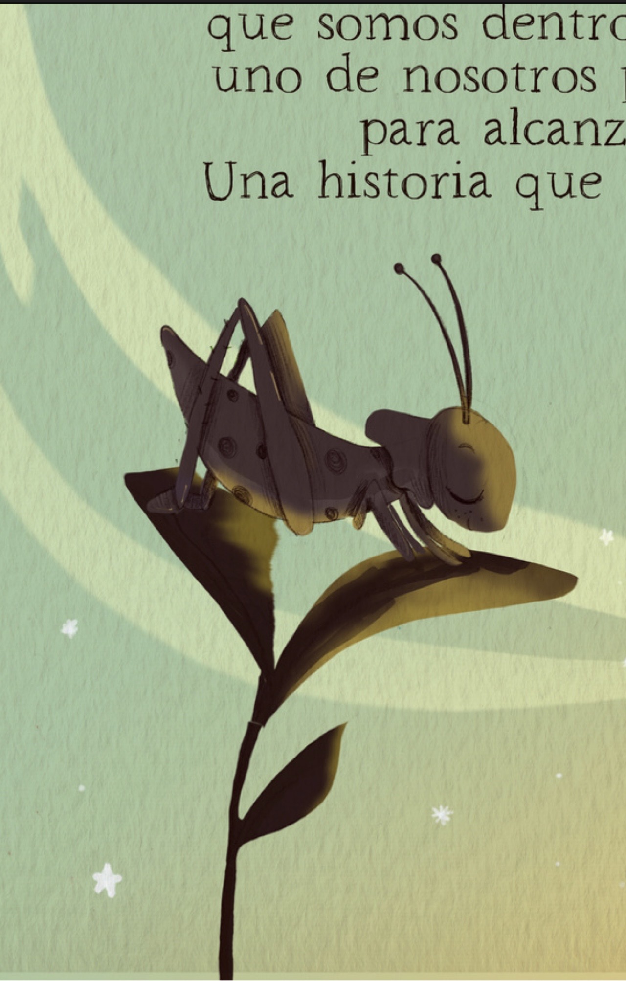 ilustradora libros album ilustrado infantil